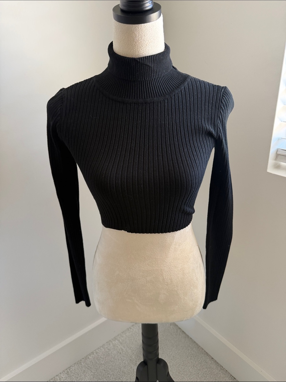 Hera Collection Black Ribbed Turtleneck Crop Long Sleeve Top